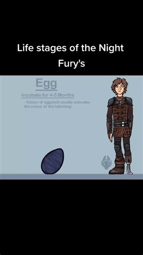 Discover The Elder Night Fury and Its Real Footage!