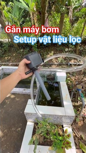 Installing a pump and setting up filter media for an abandoned fish tank #pet #animal #fish #aqua...