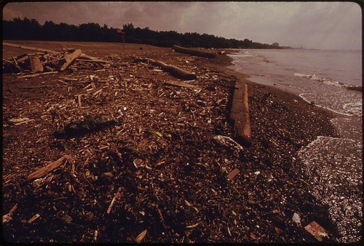 Summary and Analysis of T.C. Boyle's "Greasy Lake"