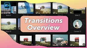 Transitions Overview