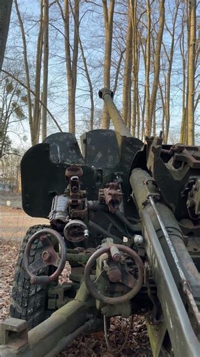 silentLog_0265 _ field gun