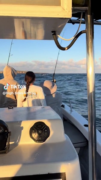 Humpback whale giving a show before some fishing 🤩 #humpbackwhale #puertovallartawhalewatching