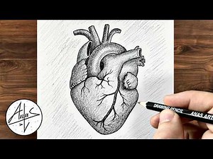 How To Draw A Human Heart Easy | Heart Diagram | Tutorial for beginners
