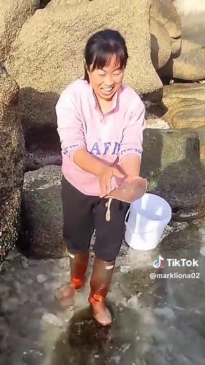 Undercurrents on the sea floor bring some precious shellfish to the shore. Pearl Shell This video is protected by copyright The shellfish and snails featured in the video are not part 1