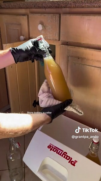 Dry and Light Ales and Lagers Brewing Process