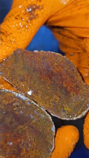 Cutting fiery moss agate!