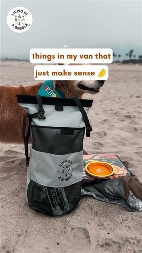 Van Life Essentials for the Ultimate Nomad Lifestyle | RV Organization & Stealth Camping Hacks