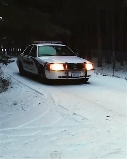 Was a Constant Target of Housebreaking and got Fed Up | Storyteller Corner | Facebook