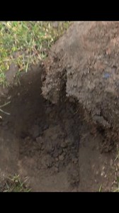 1.9M views · 19K reactions | Ці щирі та незабутні емоції. #HiddenHistory #UntoldHistory #coins #history #treasure #metaldetecting #історія #скарб #outdoor | History in Details | Facebook