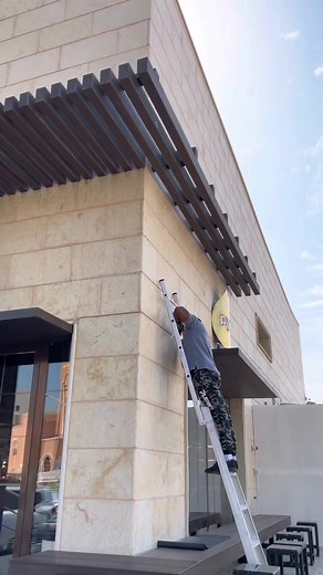 Exploring Exciting Innovations in Branch Technology