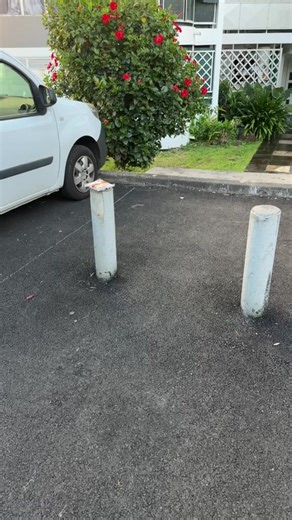 Radio Free Dom on Reels