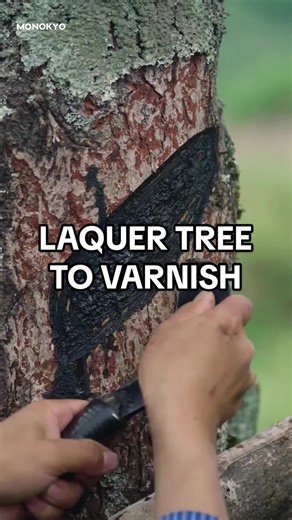 Traditional Lacquer Craft: From Tree Sap to Timeless Shine