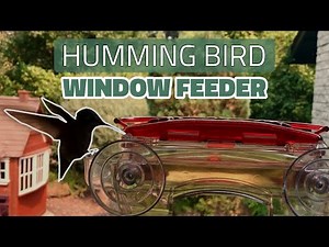 Up Close Window Hummingbird Feeder: Does it Actually Work?