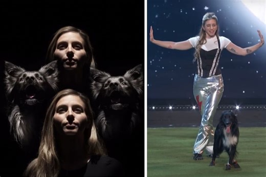 A surprisingly impressive dancing dog duo brought the house down on 'America's Got Talent'