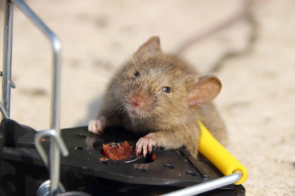 Die 10 größten Städte in Nordrhein-Westfalen