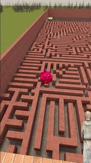 Can we Catch Pou Pink in Maze