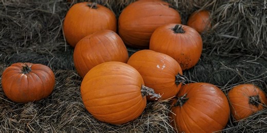 Seventh annual pumpkin collection turns seasonal waste into compost
