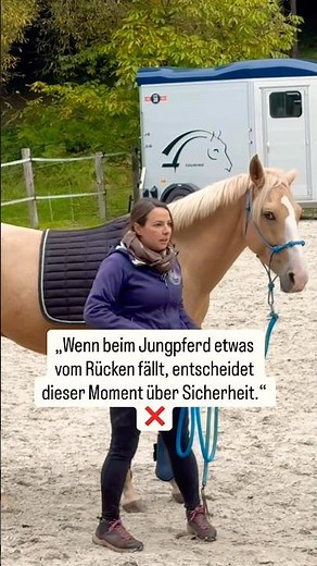 👉“Why your horse must stop when something falls off its back!” ❌