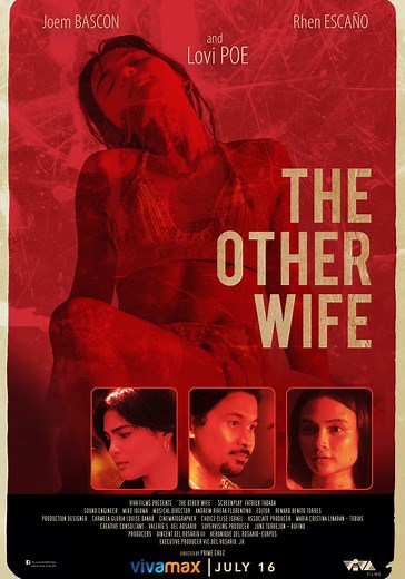 The Other Wife - movie: watch streaming online