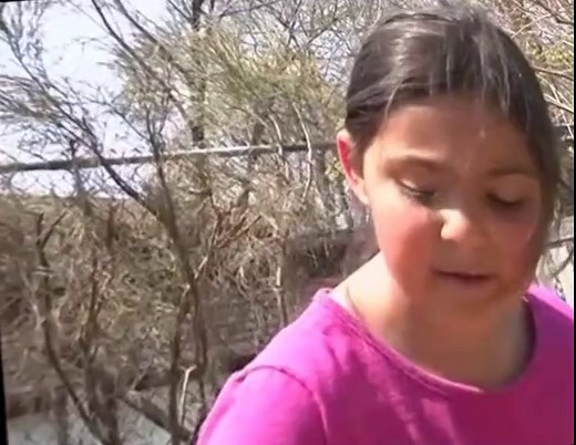 Peep and the Big Wide World Peep and the Big Wide World S02 E001 Finders Keepers