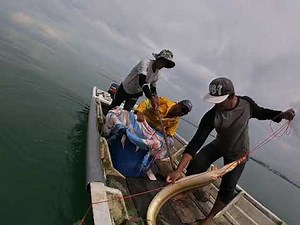 Merawai ikan duri dan malong