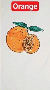 How to draw an orange? ( fruits drawing tutorial for beginners)