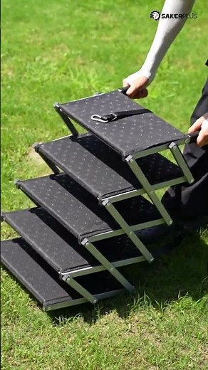 This Folding Dog Ramp Is a Lifesaver for Big Dogs! 🐶🚗 No More Lifting!