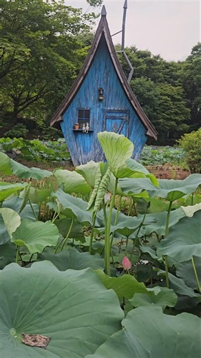 Seoul Children's Grand Park