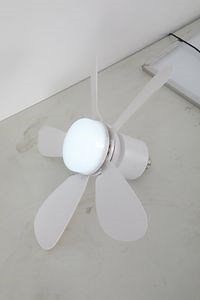 [Hot Item] China Ceiling Fan Invisible Ceiling Fan Light with Retractable Blades