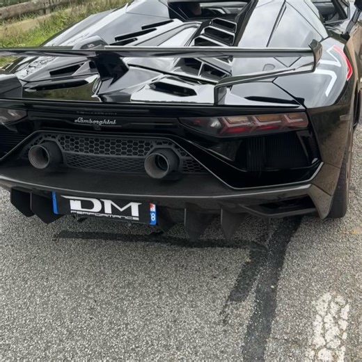 DM PERFORMANCE on Reels