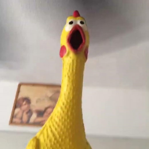 Chicken Fan - Squeaky Toy (VINE)