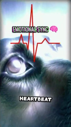 Day 29: Your dog’s heart is BEATING for you 🐶💓 | 30 Dog Secrets