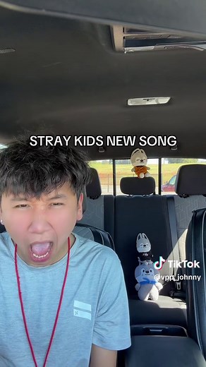 #Straykids #kpop #skz #fyp #vpp_johnny | Stray Kids