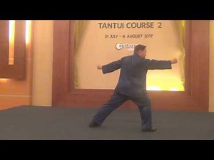 Shaolin Tantui Sequence 8 -- Thrust Kick