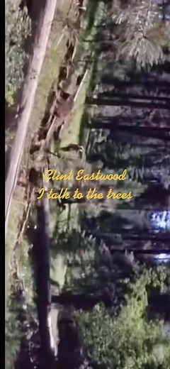 Clint Eastwood Sings 'I Talk to the Trees' in Paint Your Wagon