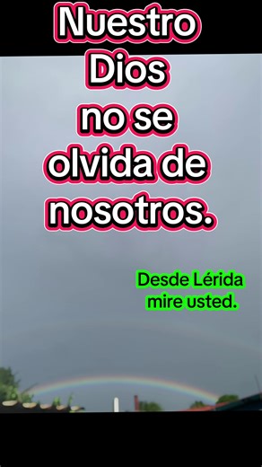 hectorsvideos_1✅ on TikTok