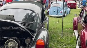 1.2K views · 43 reactions | #Acapulco | ️ Diferentes clubs de toda la República mexicana se concentraron desde las 10 de la mañana en el jardín sur https://www.elsoldeacapulco.com.mx/deportes/automotriz/realizan-exhibicion-de-autos-tuneados-en-el-centro-de-convenciones-10461286.html Video: Heidi Nieves | El Sol de Acapulco | El Sol De Acapulco | Facebook