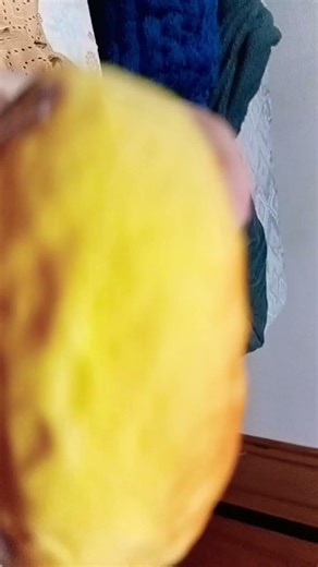 6 de fevereiro de 2026