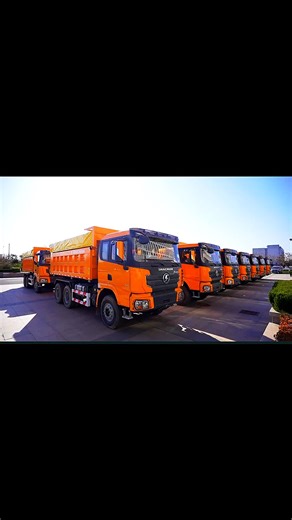 Shacman new Dump trucks for Ethiopia -- with canvas cover, load detection system, ABS and automatic slack adjuster !!! #ethiopian_tik_tok🇪🇹🇪🇹🇪🇹🇪🇹 #creatorsearchinsights #eritreantiktok🇪🇷🇪🇷habesha #shacman