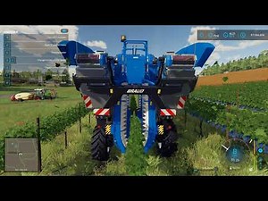 LS22 | Trauben Ernte