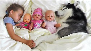 1.5M views · 16K reactions | My super fun day with Baby Dolls and Dog, Sofia pretend play with toys for girls | OneDay Alex | Facebook