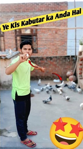 Ye Kis Kabutar ka Anda Hai 🤩||#pigeon #shorts #short #trending #pets #vlogs