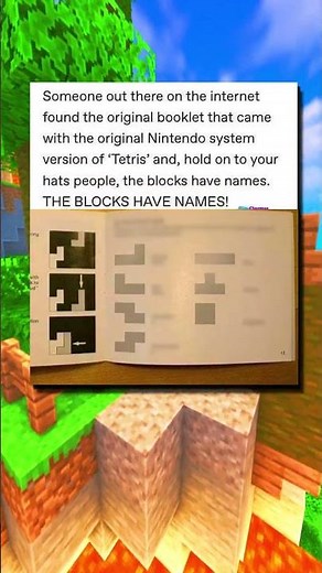 Tetris Blocks HAVE NAMES!??🤯