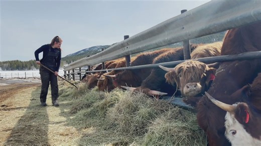 Yukon farmers say government should follow 'buy local' advice