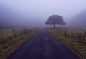 How to Use Adobe Photoshop JPEG Compression in 60 Seconds | Envato Tuts