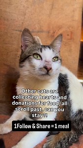 Please don’t scroll, I have been waiting the all day to appear on your feed .how many buttons can you place for me, like follow comment and donate if you can | Patrick Kalibbala