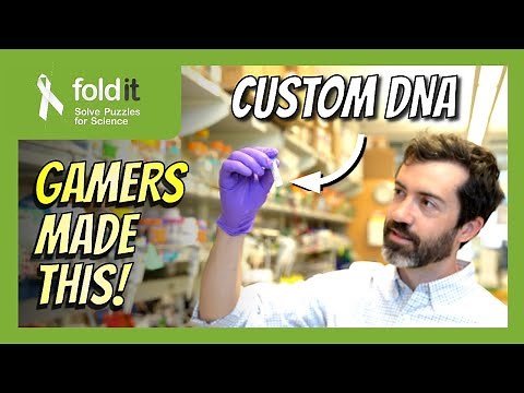 From DNA to protein (Part 1) – Lab Report 34