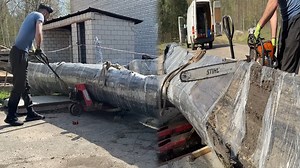 Ancient Years-Old Bog Oak Revealed with Expert Sawing