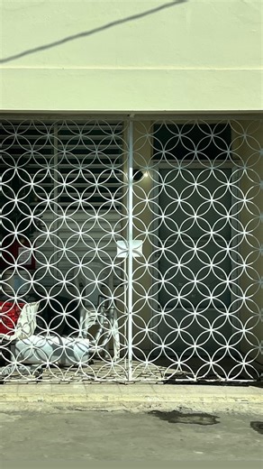 Dr. Regner Ramos ❤️‍🔥⚡️ on Instagram: "Todos hemos visto estas bellezas de rejas en Puerto Rico. Las asociamos con seguridad, pero ahora se convierten en recuerdos del pasado, de maneras de celebrar el clima tropical y vestigios de nuestra cultura. Vemos otras iteraciones en Europa, pero aquí se adaptaron al trópico, mezclando flores, geometrías y artesanía. Las rejas nos protegen sin aislarnos, dejan pasar la brisa, mirar la calle, conversar desde el balcón, suavizan el hormigón y dan identida