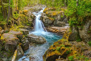 Hike the Silver Falls Loop | Visit Rainier